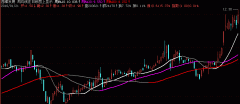 周均线在日线图上显示飞狐指标公式