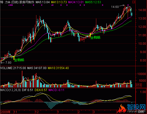 通达信金蜘蛛主图指标公式