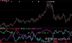 大智慧主流资金指标公式