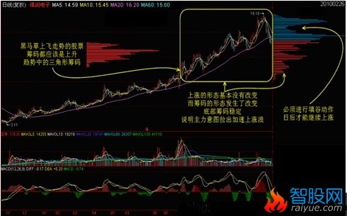 筹码学完整讲解