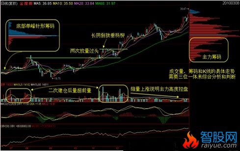 筹码学完整讲解