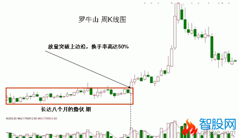 成交量抓黑马股