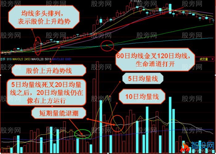 均量线量能退潮技术讲解