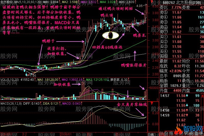 经典技术分析老鸭头