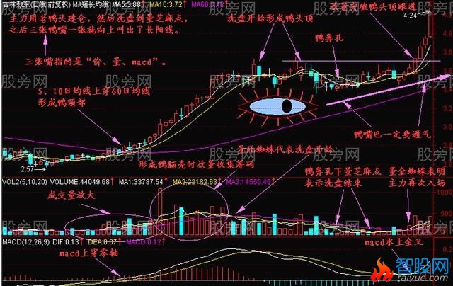 经典技术分析老鸭头