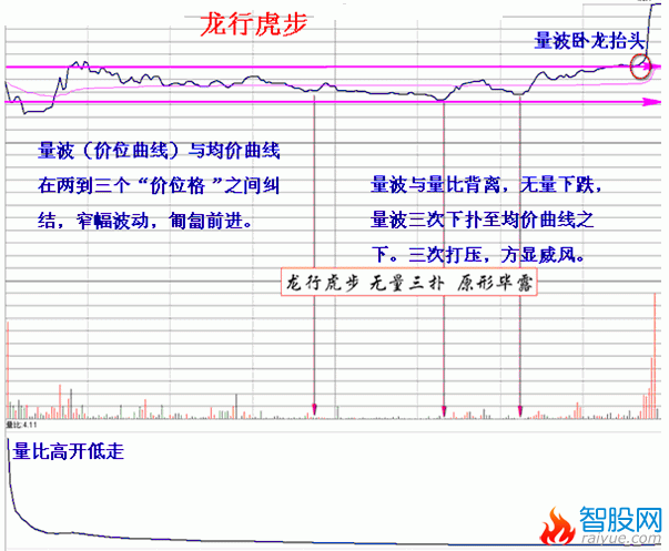 量学理论之龙行虎步