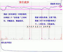 量学理论之龙行虎步