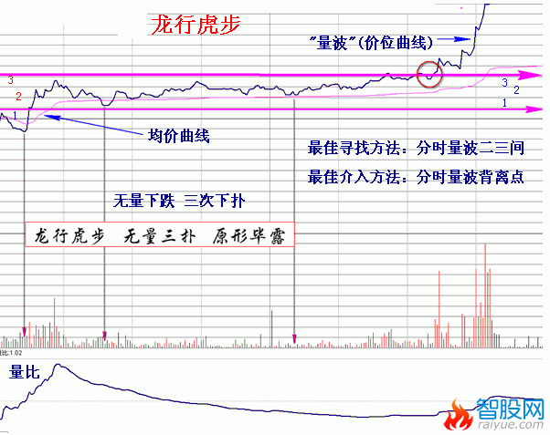 量学理论之龙行虎步