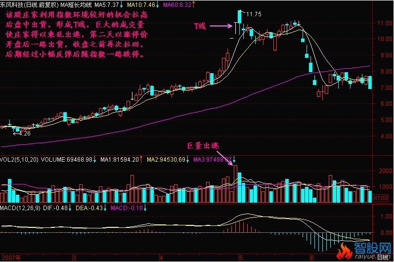 T线形成头部的意义