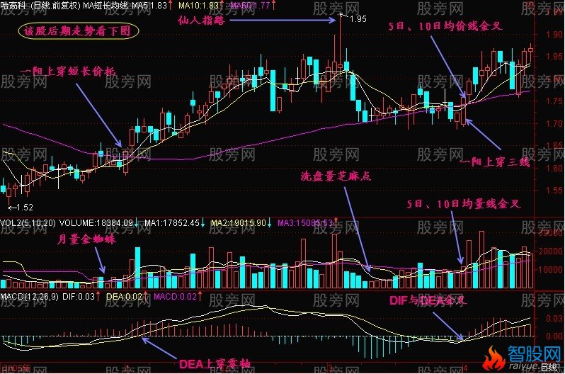 三金叉抓住上扬行情