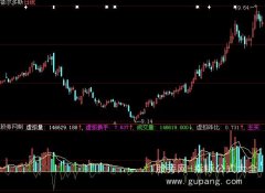 大智慧模拟成交量指标公式