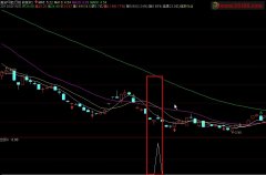 1个跳空低开的指标