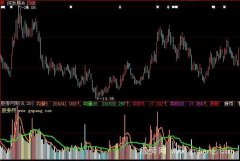大智慧机构量价指标公式