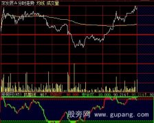 大智慧风警线分时指标公式