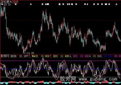 大智慧MACD+RSI指标公式