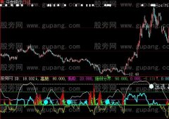 大智慧看资金指标公式