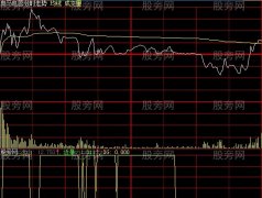 大智慧分时量价指标公式