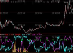 大智慧庄影追踪指标公式