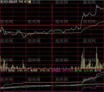 大智慧机构进出分时指标公式