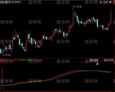 同花顺中线投资者指标公式
