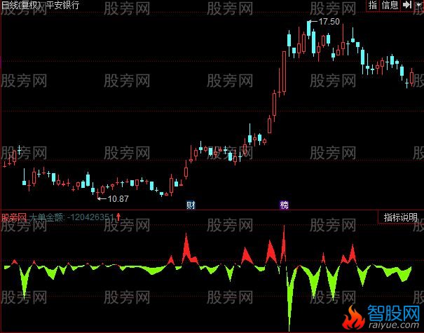同花顺DDZ大单金额指标公式