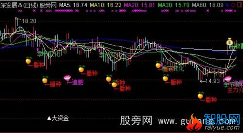 通达信股市大资金主图指标公式