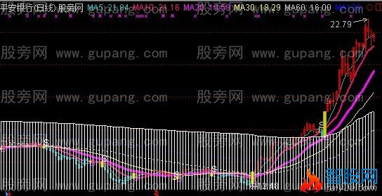 通达信多组合主图指标公式