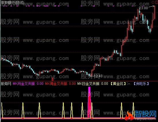 通达信MK金叉共振指标公式