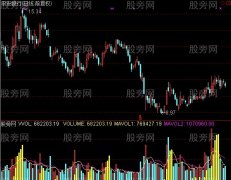 通达信量能成交量指标公式