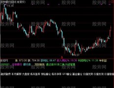 通达信个股资料指标公式