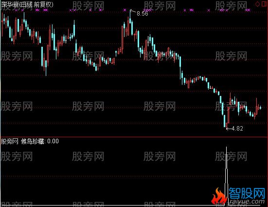 通达信候鸟珍藏选股指标公式