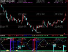 通达信个股监控指标公式