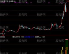 通达信牛股第二波副图指标公式