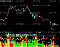 通达信综合成交量指标公式