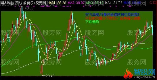 通达信K线形态主图指标公式