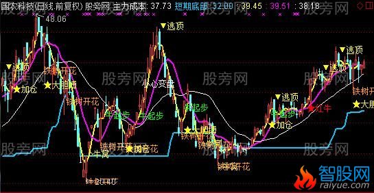 通达信铁树开花主图指标公式