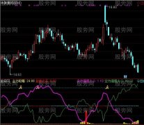 通达信实盘T0副图指标公式